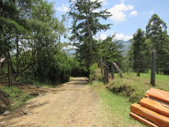 Lote en venta en Guamito, La Ceja, 18382 m² · foto 21 de 24