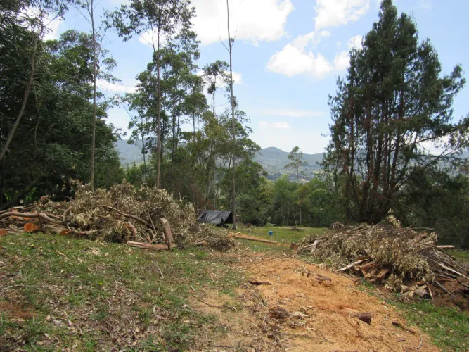 Lote en venta en Guamito, La Ceja, 18382 m² · foto 22 de 24