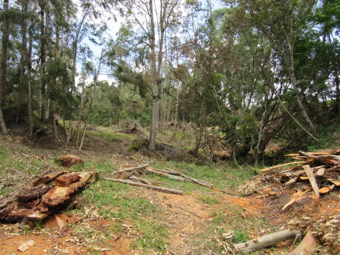 Lote en venta en Guamito, La Ceja, 18382 m² · foto 23 de 24