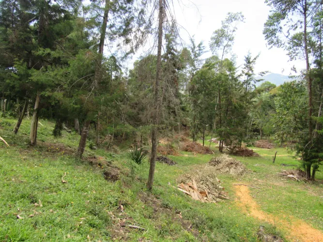 Lote en venta en Guamito, La Ceja, 18382 m² · foto 24 de 24