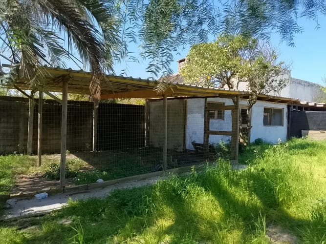 Alquiler de casa de 1 dormitorio en solymar · Photo 5