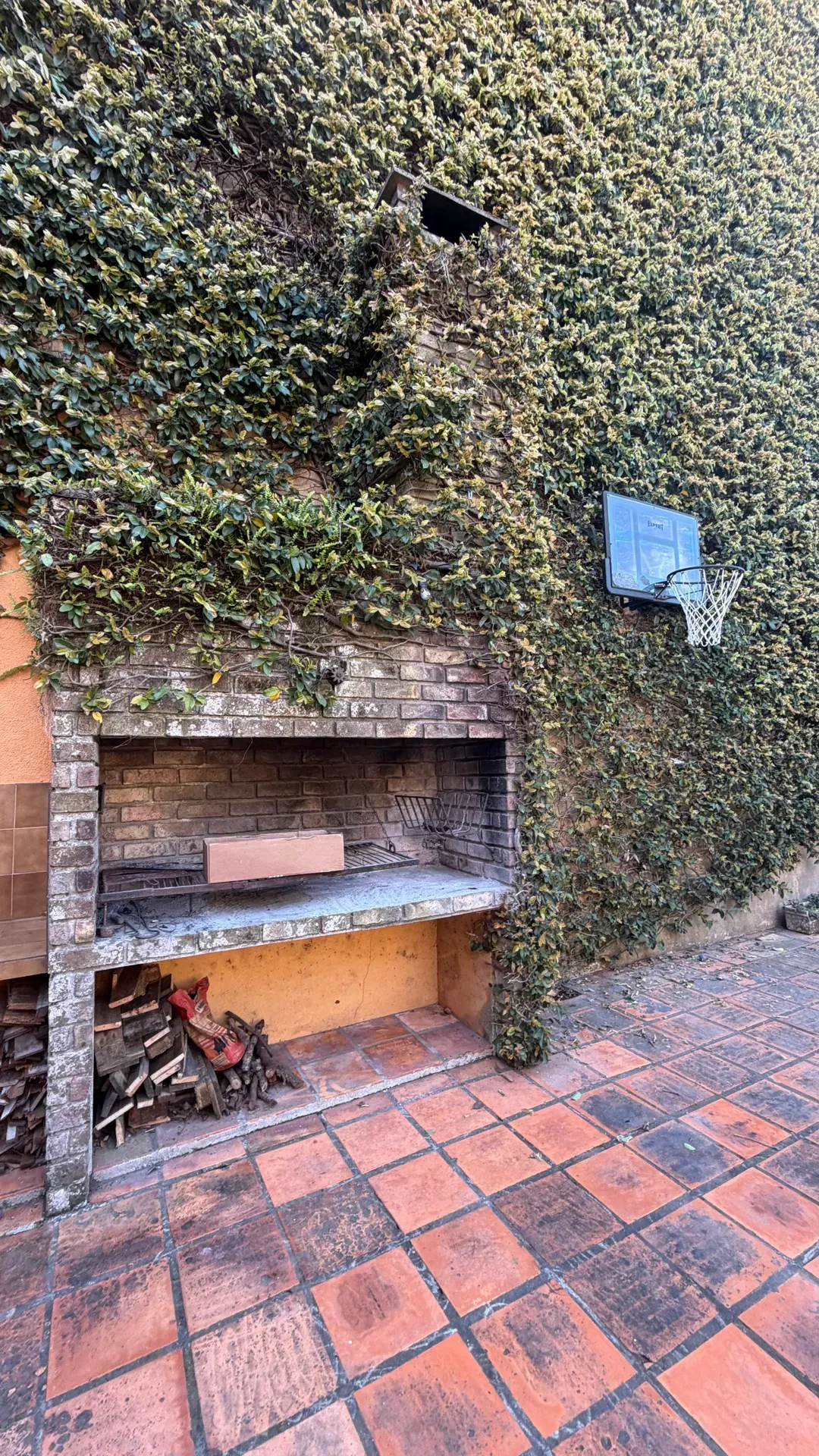 Foto 5 de 23