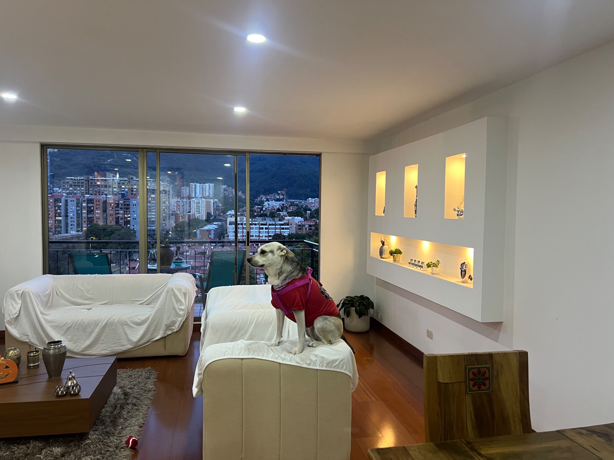 Apartamento en venta en Cedritos, Bogotá · foto 20 de 24