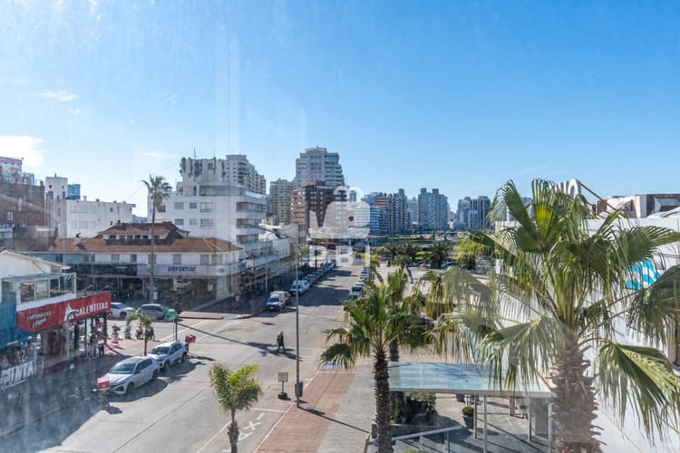 Alquiler Local comercial, Punta del Este, Maldonado · Foto 2