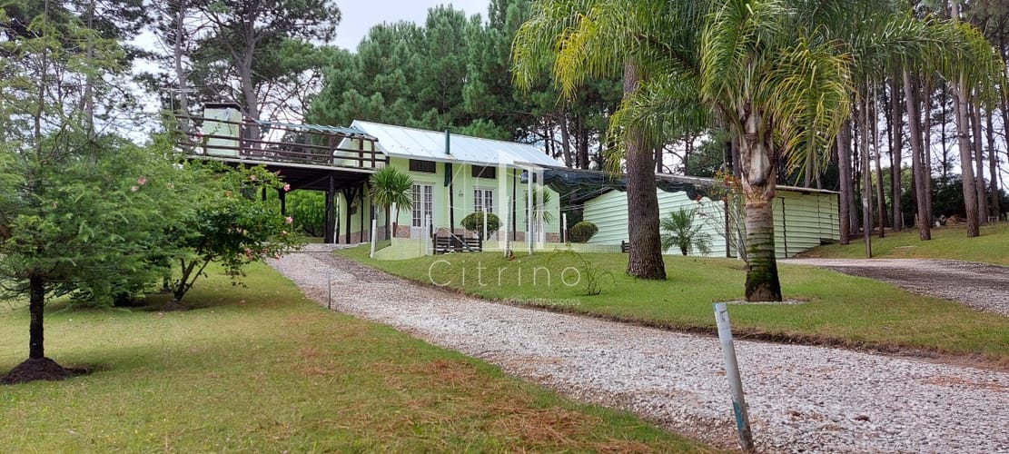 Casa en Punta Ballena, Portezuelo Bosque