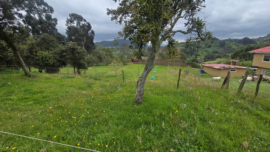 Finca en venta en San Jorge, Zipaquirá, 6400 m² · foto 13 de 24