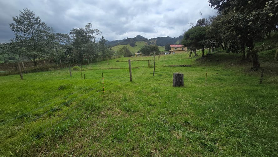 Finca en venta en San Jorge, Zipaquirá, 6400 m² · foto 4 de 24