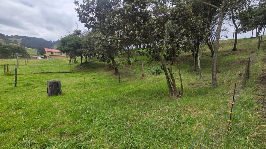 Finca en venta en San Jorge, Zipaquirá, 6400 m² · foto 7 de 24