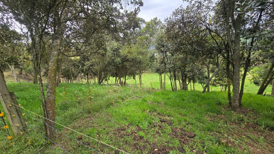 Finca en venta en San Jorge, Zipaquirá, 6400 m² · foto 15 de 24