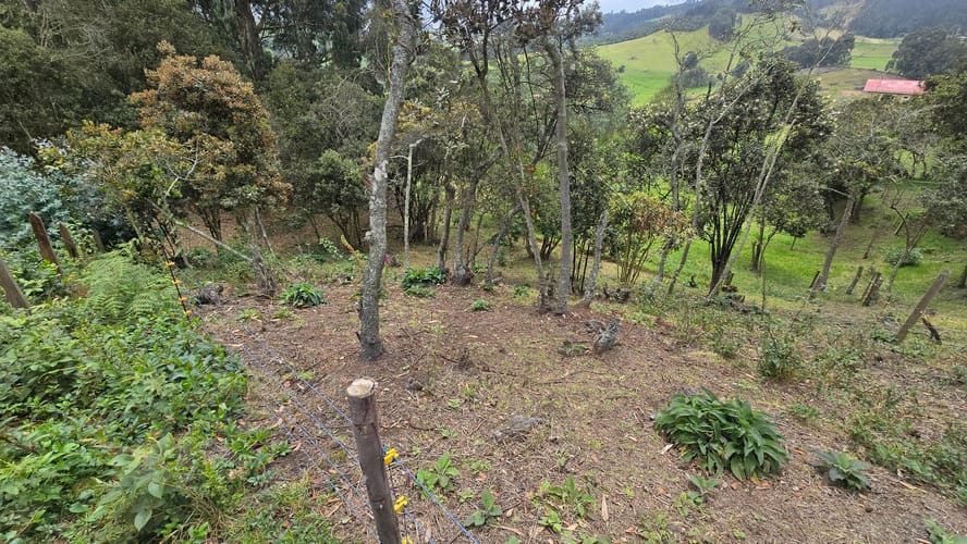 Finca en venta en San Jorge, Zipaquirá, 6400 m² · foto 17 de 24