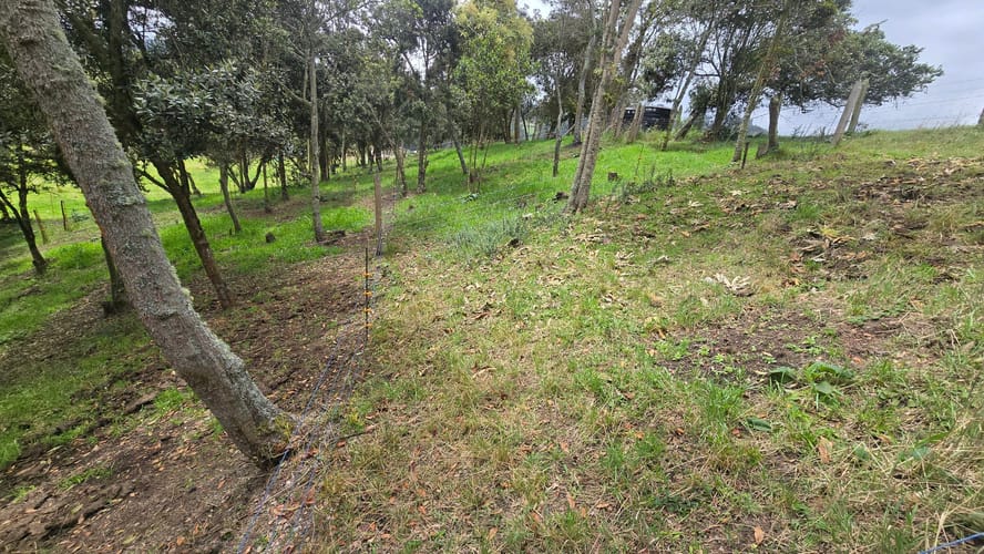 Finca en venta en San Jorge, Zipaquirá, 6400 m² · foto 16 de 24