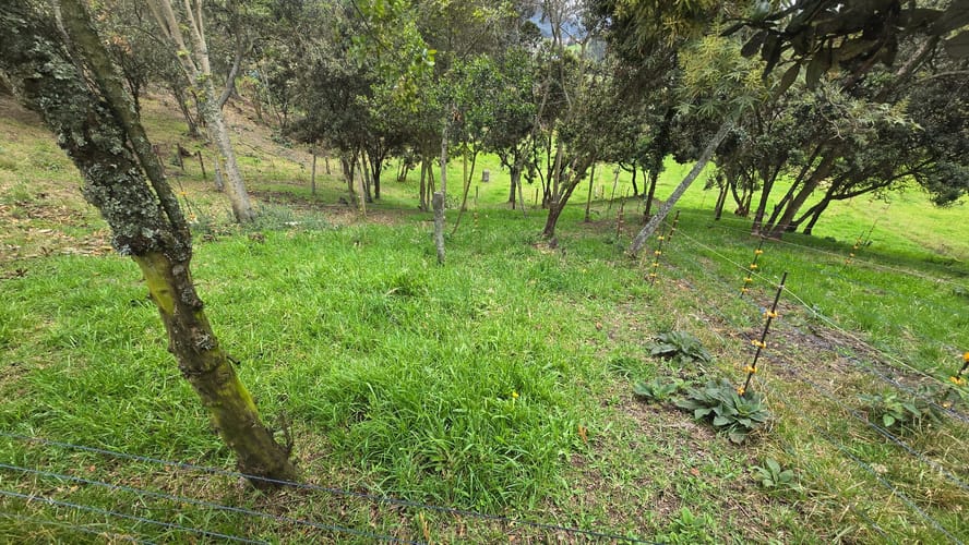 Finca en venta en San Jorge, Zipaquirá, 6400 m² · foto 18 de 24