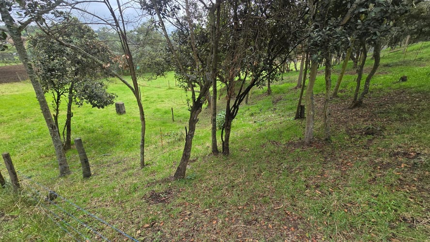 Finca en venta en San Jorge, Zipaquirá, 6400 m² · foto 14 de 24