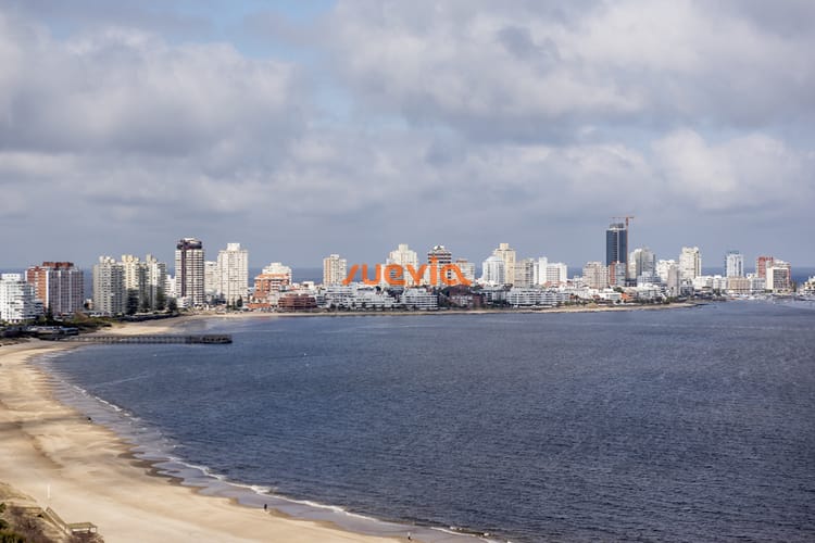 Foto 5 de 30