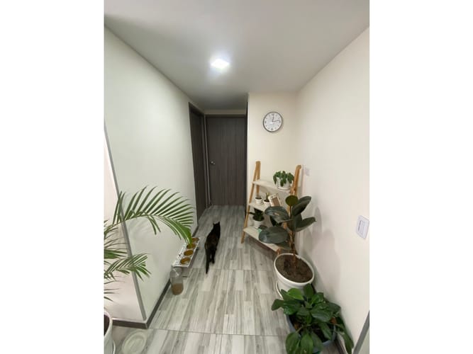 Apartamento de 2 alcobas en venta en Hayuelos, Bogotá, 43 m² · foto 14 de 14
