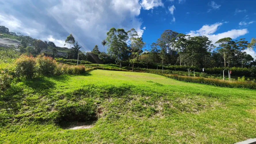 Lote en venta en El Tambo, La Ceja, 800 m² · foto 7 de 12