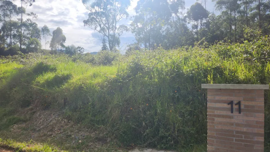 Lote en venta en El Tambo, La Ceja, 800 m² · foto 9 de 12