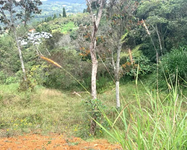 Lote en venta en Monta�Ez, Guarne, 4600 m² · foto 7 de 11