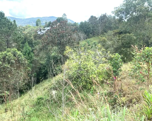 Lote en venta en Monta�Ez, Guarne, 4600 m² · foto 10 de 11