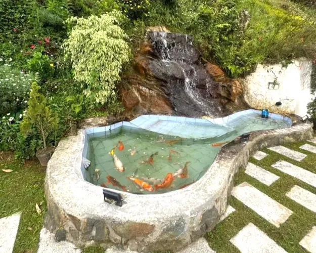 Casa de 5 alcobas en venta en Vía Las Palmas, Envigado, 1920 m² · foto 7 de 24