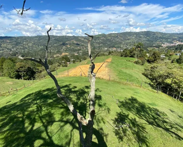 Lote en venta en El Zango, Guarne, 1663 m² · foto 6 de 11