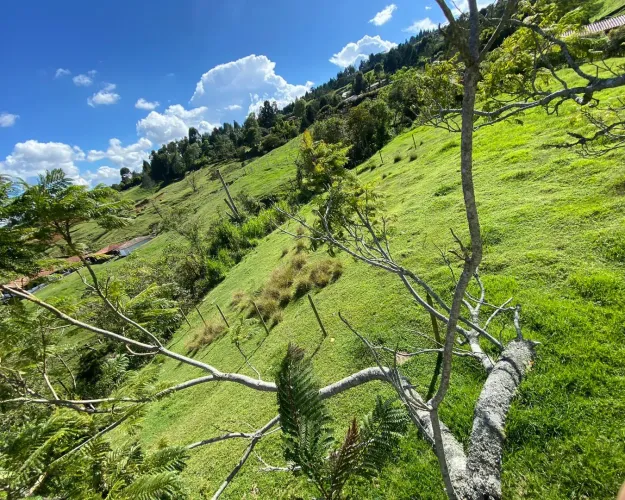 Lote en venta en El Zango, Guarne, 1663 m² · foto 8 de 11