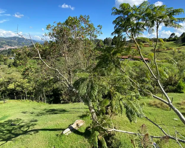 Lote en venta en El Zango, Guarne, 1663 m² · foto 9 de 11