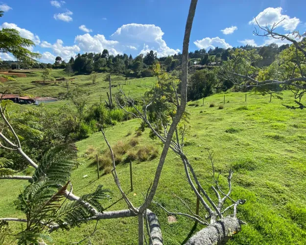 Lote en venta en El Zango, Guarne, 1663 m² · foto 11 de 11