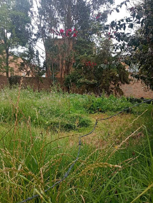Lote en venta en Diamante Occidental, Mosquera, 455 m² · foto 3 de 10