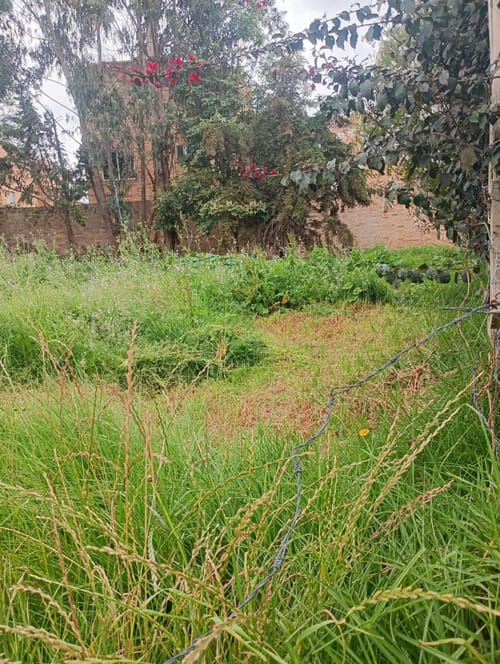 Lote en venta en Diamante Occidental, Mosquera, 455 m² · foto 8 de 10