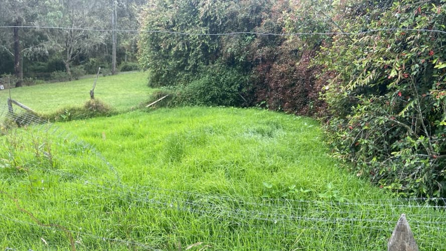 Finca en venta en El Hato, La Calera, 389 m² · foto 3 de 15