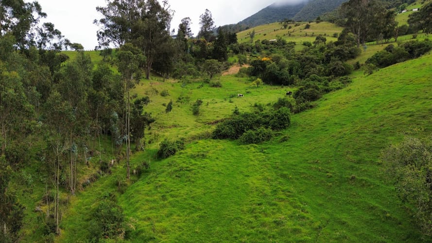 Lote en venta en Centro, La Calera, 7785 m² · foto 2 de 13