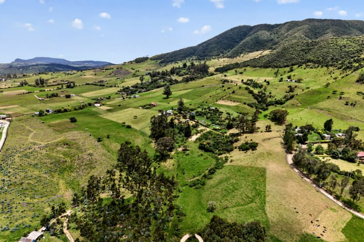 Lote en venta en Centro, La Calera, 7785 m² · foto 5 de 13