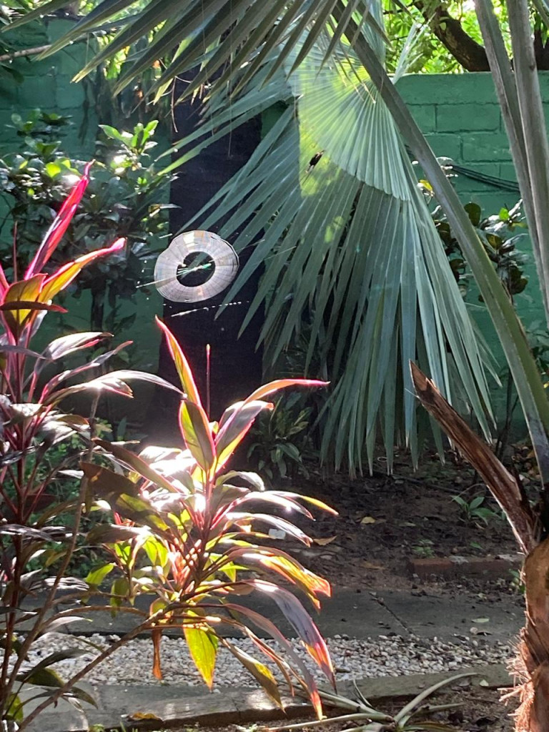 Casa en venta en Centro Gaira, Santa Marta · foto 14 de 18