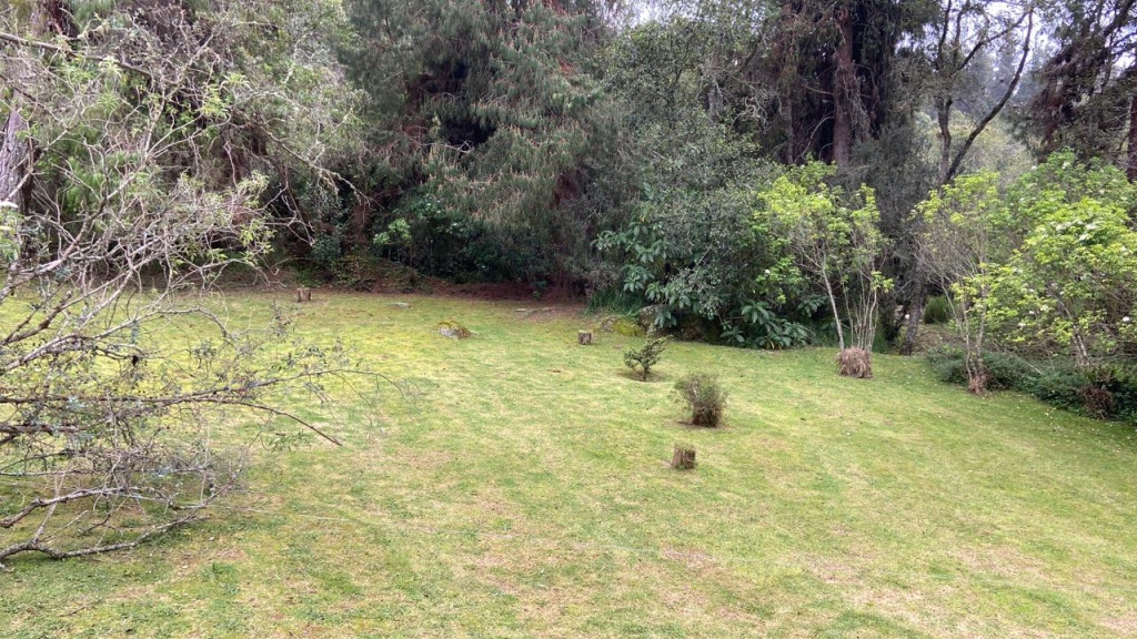 Casa en venta en Centro, La Calera · foto 9 de 24