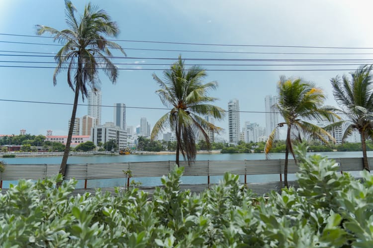 Local en venta en El Laguito, Cartagena, 55 m² · foto 2 de 6