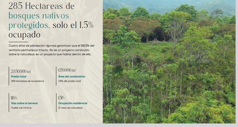 Lote en venta en Las Mercedes, Jamundí, 1650 m² · foto 4 de 24