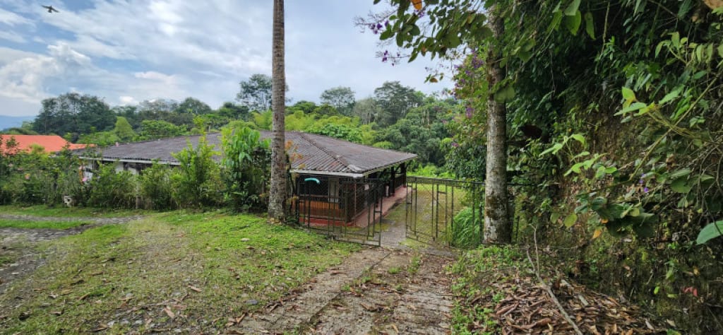 Finca en venta en La Bella, Pereira, 230 m² · foto 2 de 24
