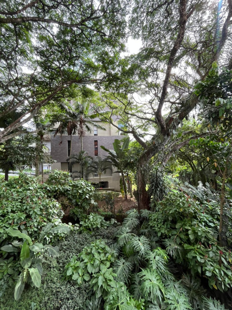 Apartamento en venta en Pance, Cali · foto 19 de 21