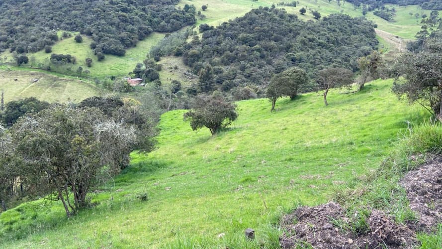Lote en venta en Santa Helena, La Calera, 4300 m² · foto 5 de 8