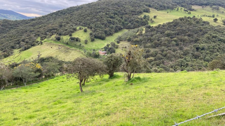 Lote en venta en Santa Helena, La Calera, 4300 m² · foto 6 de 8