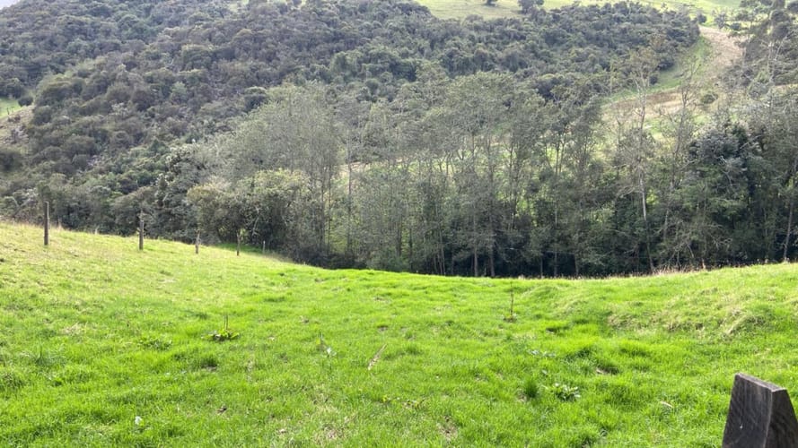Lote en venta en Santa Helena, La Calera, 4300 m² · foto 7 de 8