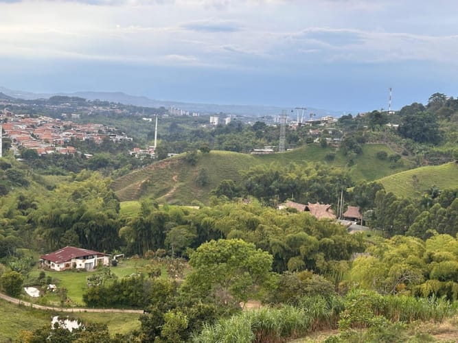 Lote en arriendo en Las Brisas, Pereira, 22000 m² · foto 4 de 24