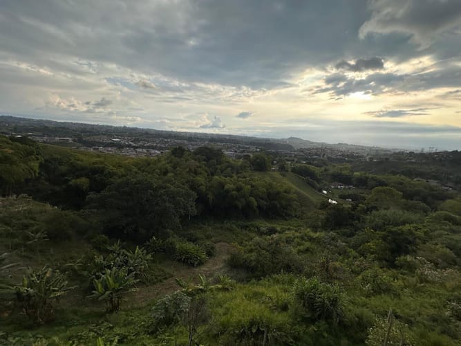 Lote en arriendo en Las Brisas, Pereira, 22000 m² · foto 6 de 24