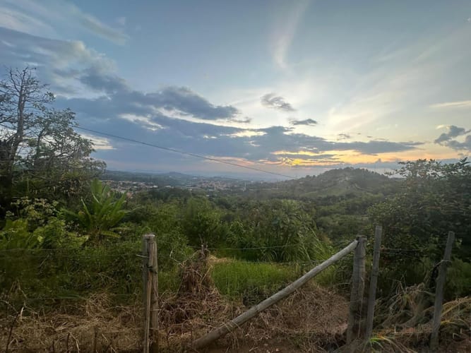 Lote en arriendo en Las Brisas, Pereira, 22000 m² · foto 7 de 24