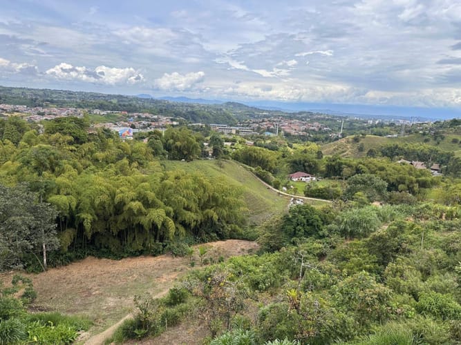 Lote en arriendo en Las Brisas, Pereira, 22000 m² · foto 8 de 24