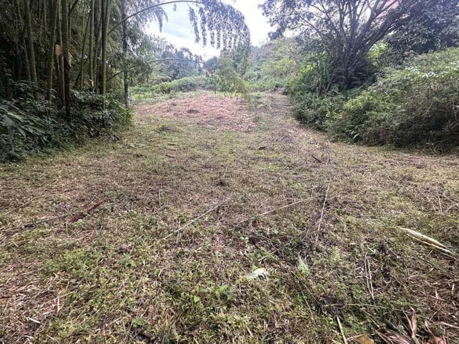 Lote en arriendo en Las Brisas, Pereira, 22000 m² · foto 9 de 24