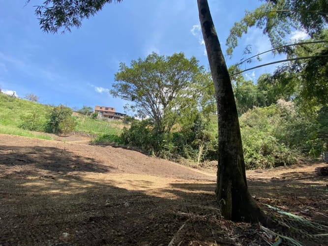 Lote en arriendo en Las Brisas, Pereira, 22000 m² · foto 22 de 24