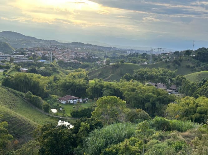 Lote en arriendo en Las Brisas, Pereira, 22000 m² · foto 23 de 24