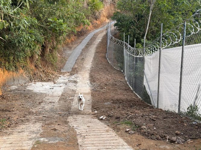 Lote en arriendo en Las Brisas, Pereira, 22000 m² · foto 24 de 24